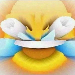 Meet your Posher, Jackson